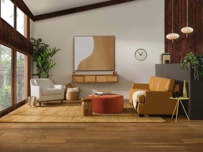 Collection Thumbnail