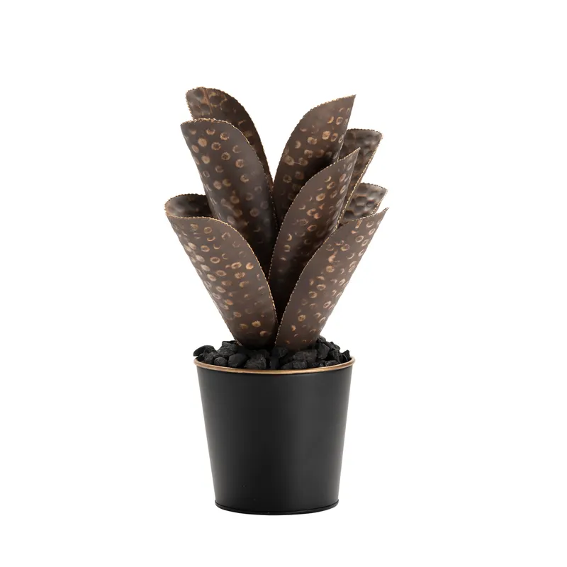 Collection Thumbnail