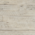 Scrimshaw
