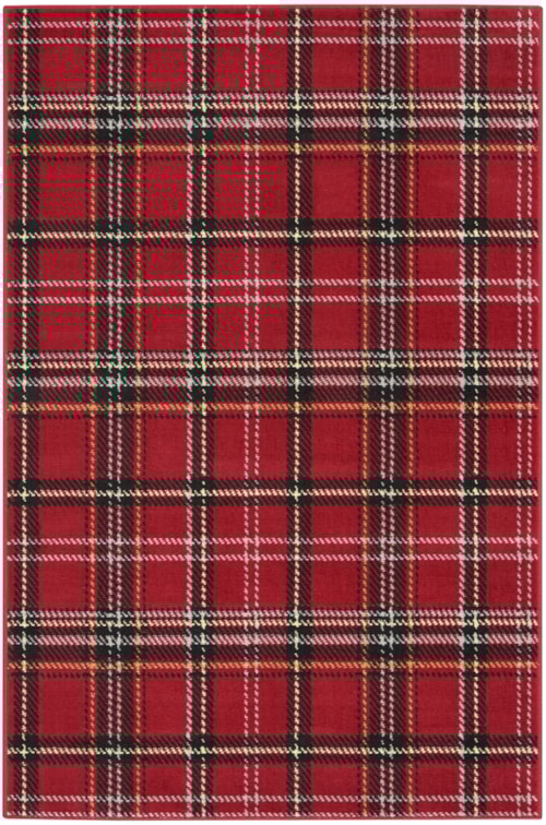 3'9" x 5'9" Red Rectangle Rug