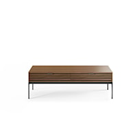 Contemporary 2-Drawer Coffee Table