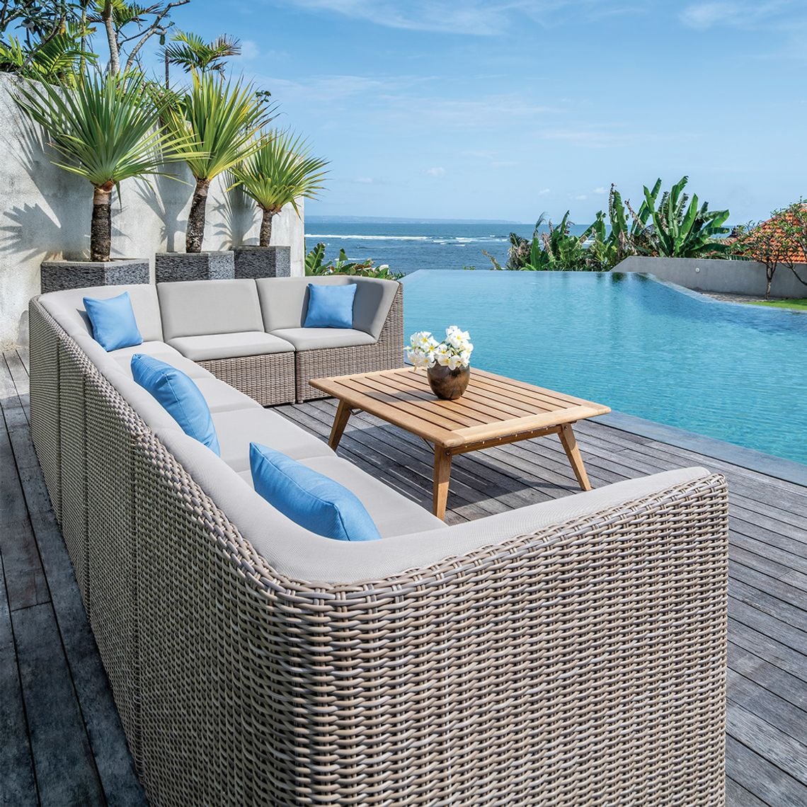 Collection Thumbnail