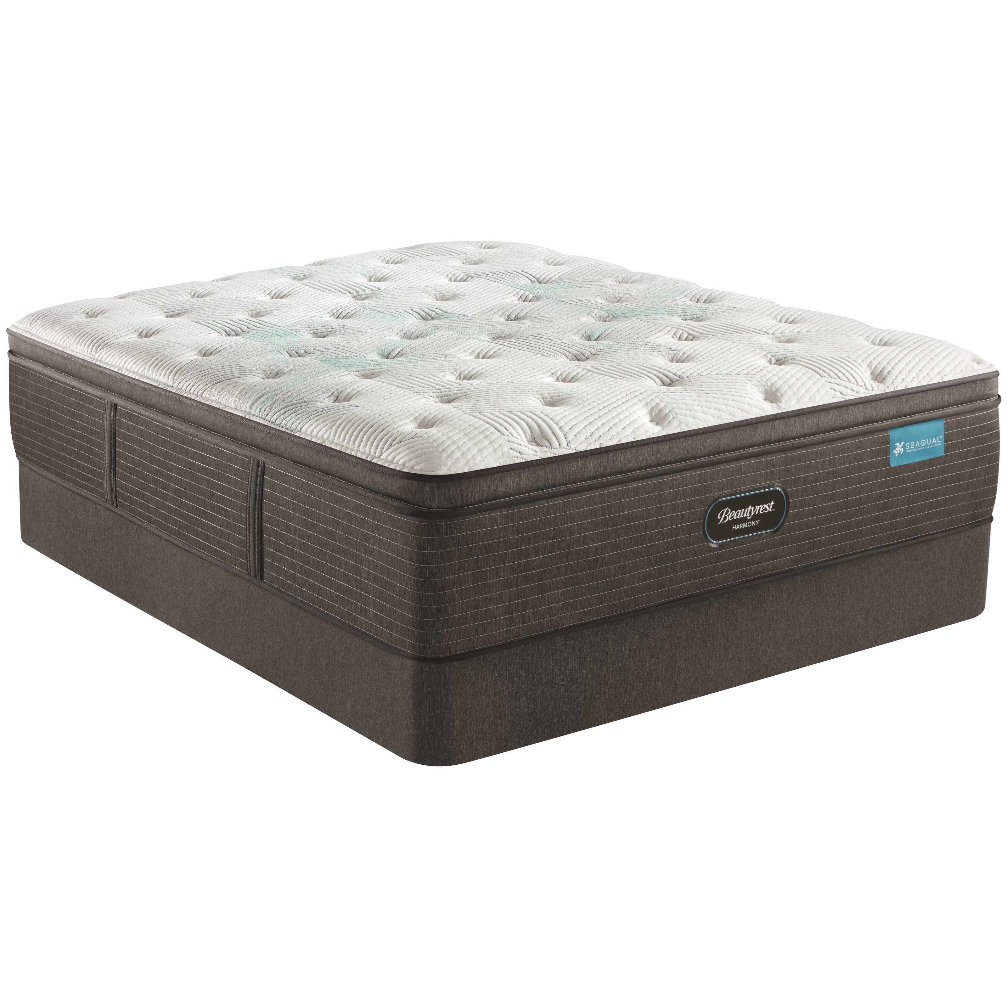 Beautyrest Cayman Series Plush Pillow Top 520 04973 4 511 04687 6 Twin 15 1 2 Plush Pillow Top Mattress and 5 Low Profile Foundation Baer s Furniture Matt Mattress and Box Spring