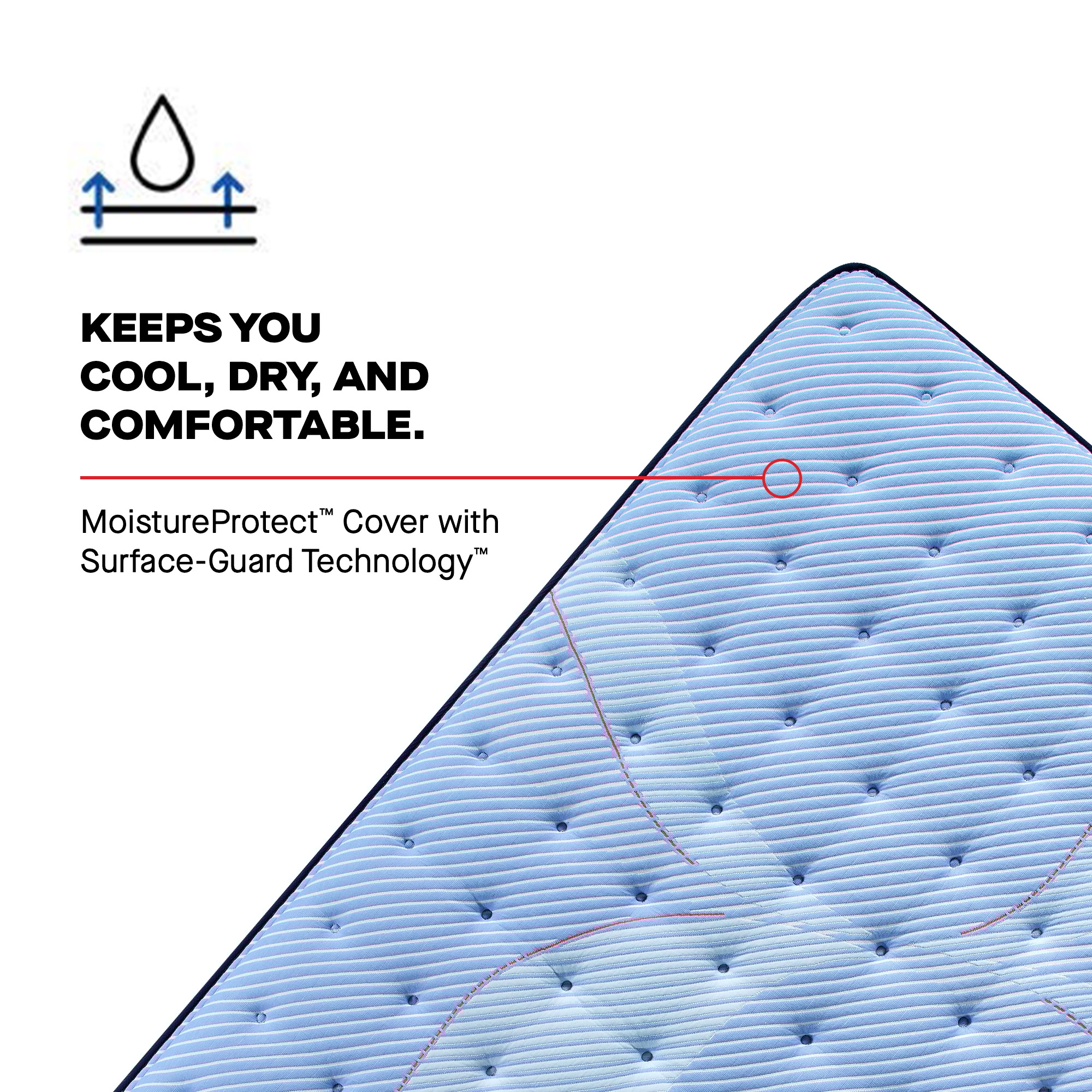 Sealy Posturepedic® Jace Euro Pillow Top Soft Jace Euro Pillow Top Soft Cal King