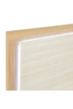 Homelegance Sterling Contemporary Queen Panel Bed with LED Headboard