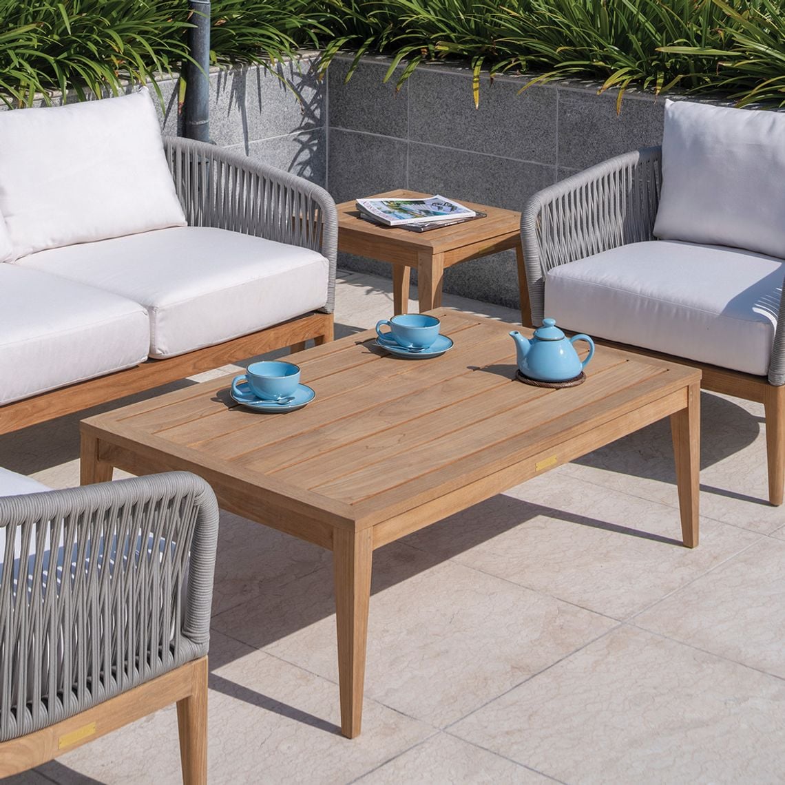 Collection Thumbnail