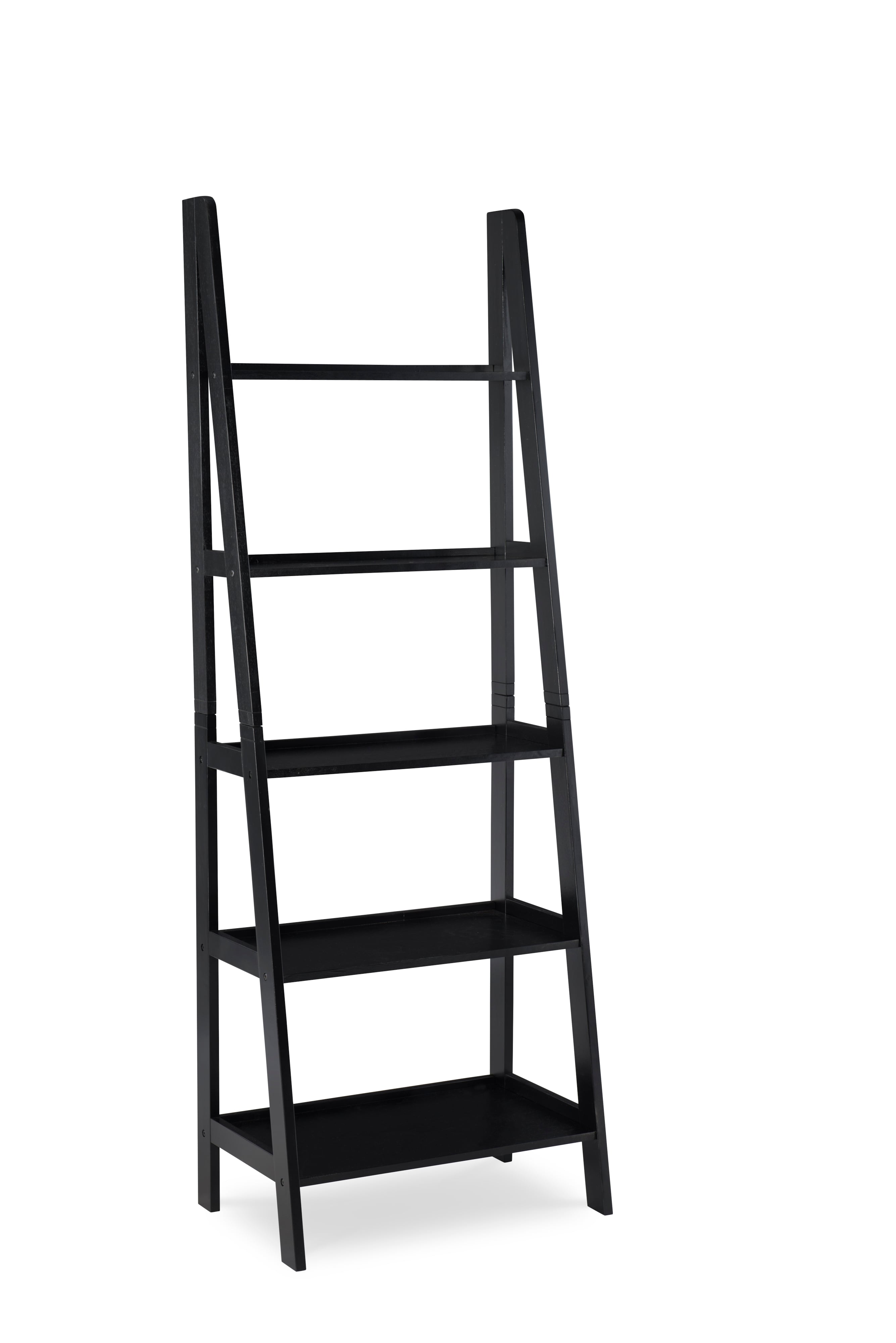 Ladder Bookshelf
