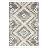 Nourison Oslo Shag 4' x 6'  Rug