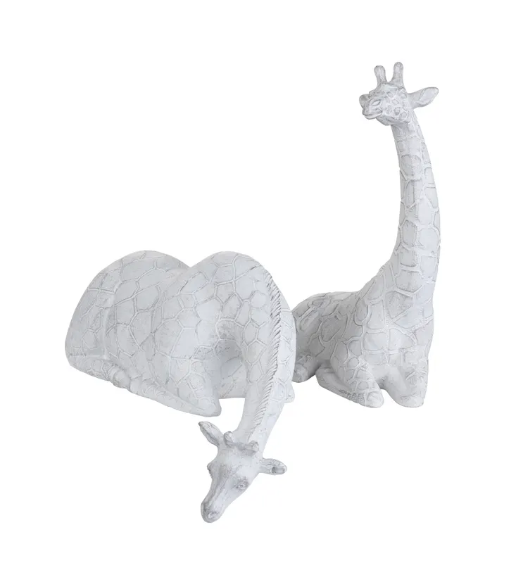 Collection Thumbnail