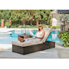 Signature Coastline Bay Outdoor Chaise Lounge With Cushion