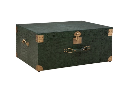 Marvin's Large Trunk