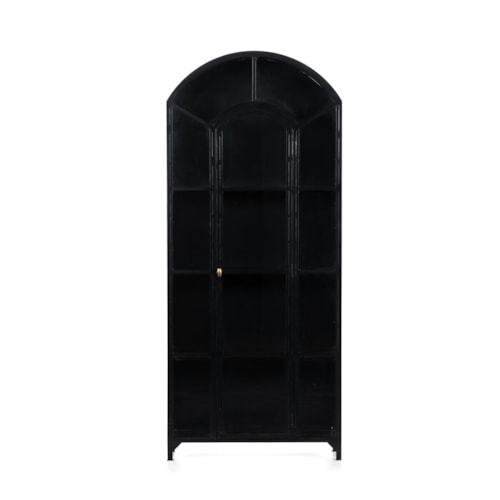 Contemporary Arched Metal Cabinet with Glass Doors