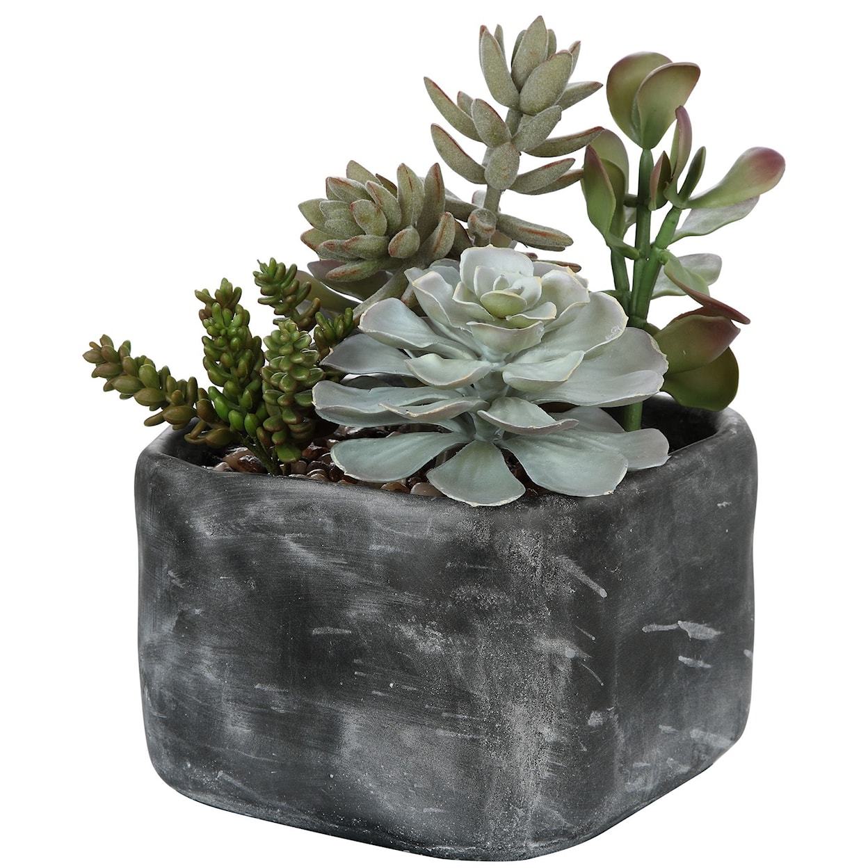 Uttermost Botanicals Alverio Desert Garden Succulents