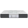 Beautyrest Cayman Series Medium TT Twin XL 13 1/2" Medium Mattress