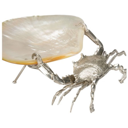Foraging Crab