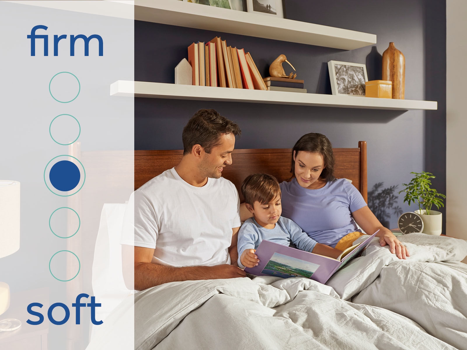 Sealy Special Edition Warner Tight Top Medium Warner Tight Top Medium Cal King