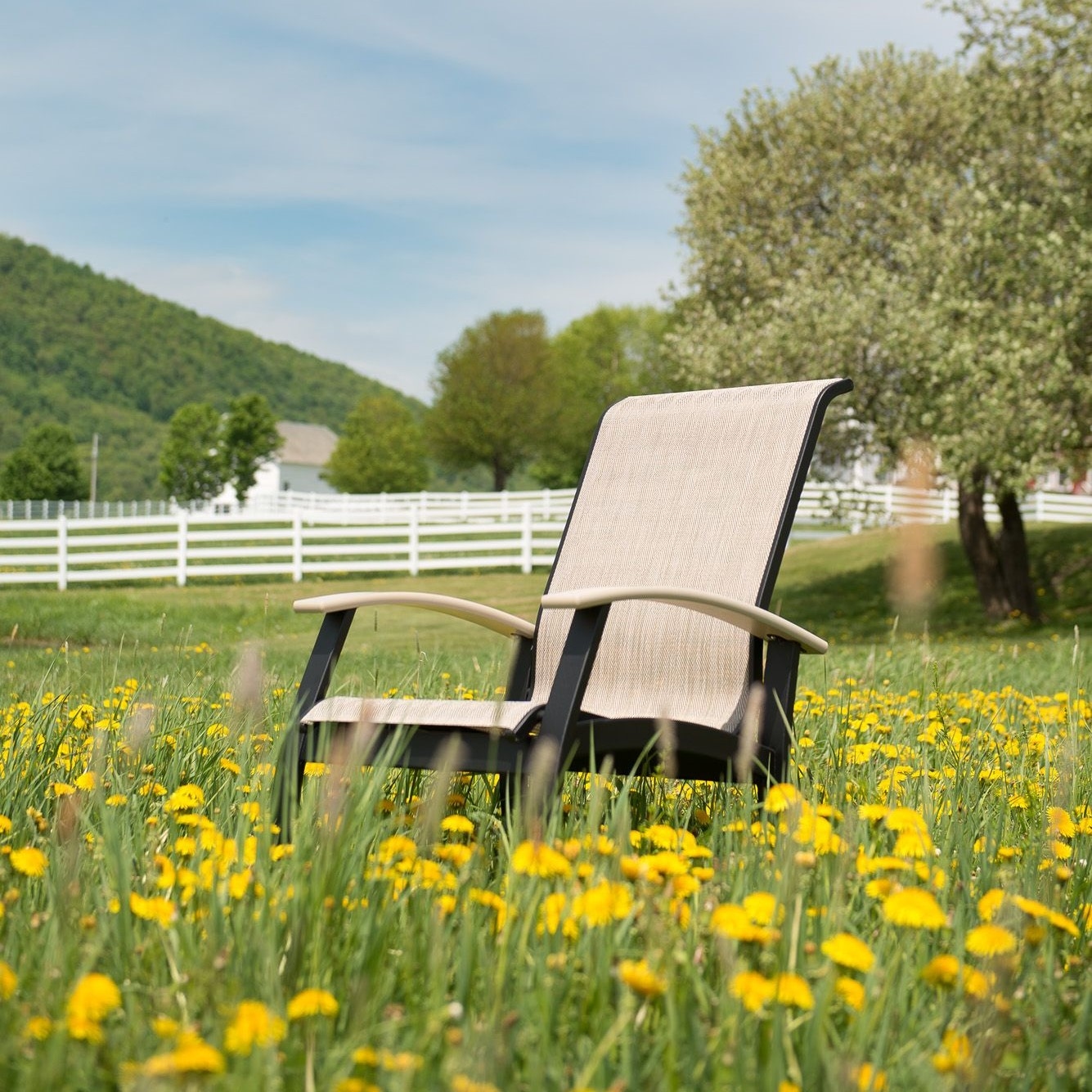 Collection Thumbnail