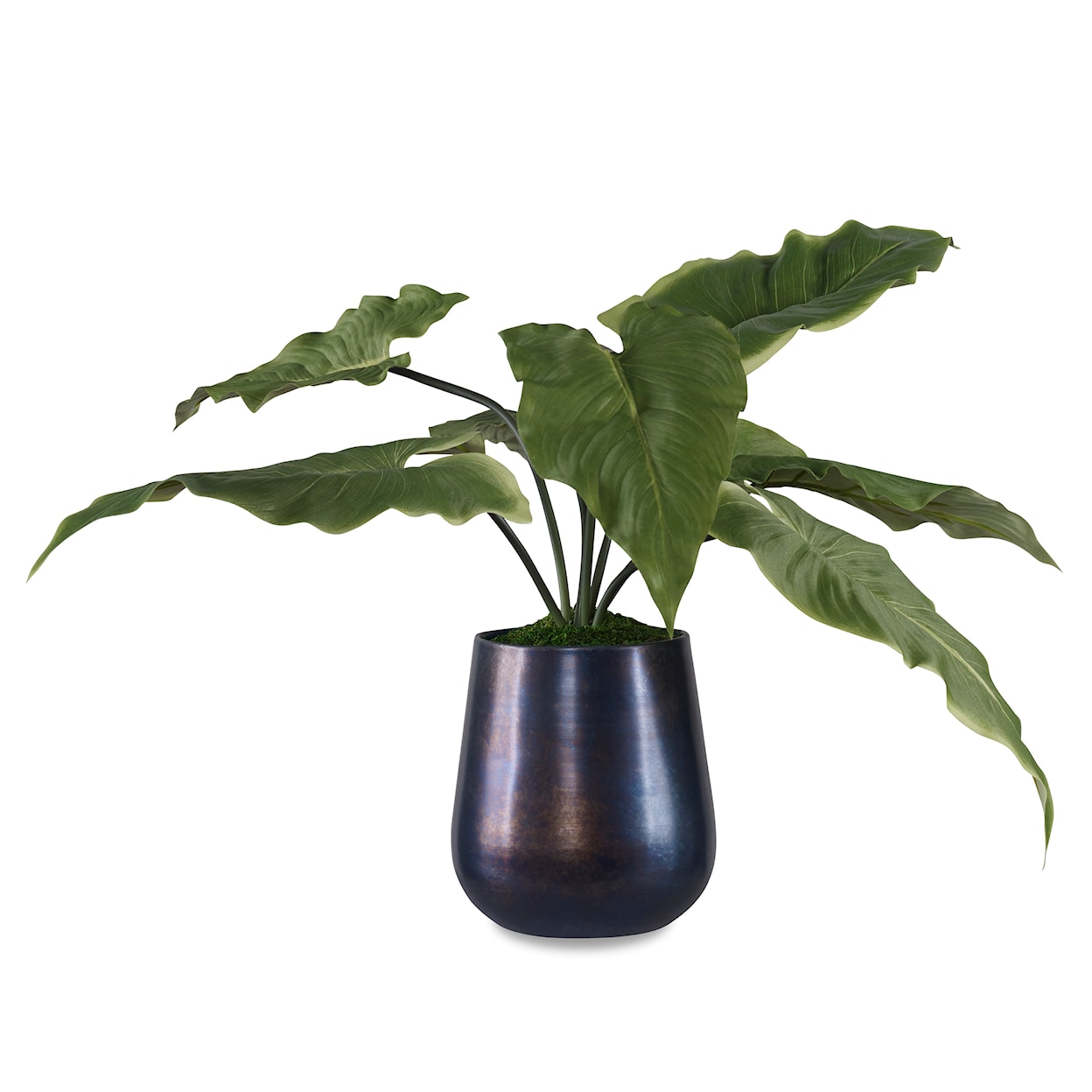 Uttermost Mari Calla Mari Calla Accent Plant