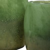 Uttermost Matcha Matcha Green Glass Vases S/2