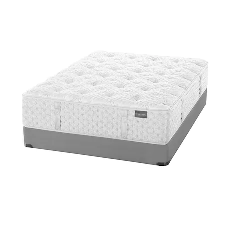 Queen Tight Top Luxury Firm Mattress