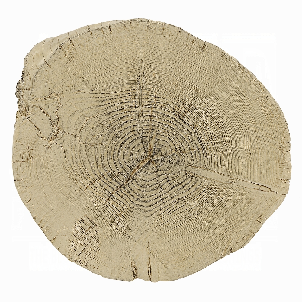 Acme Furniture Gene Accent Table