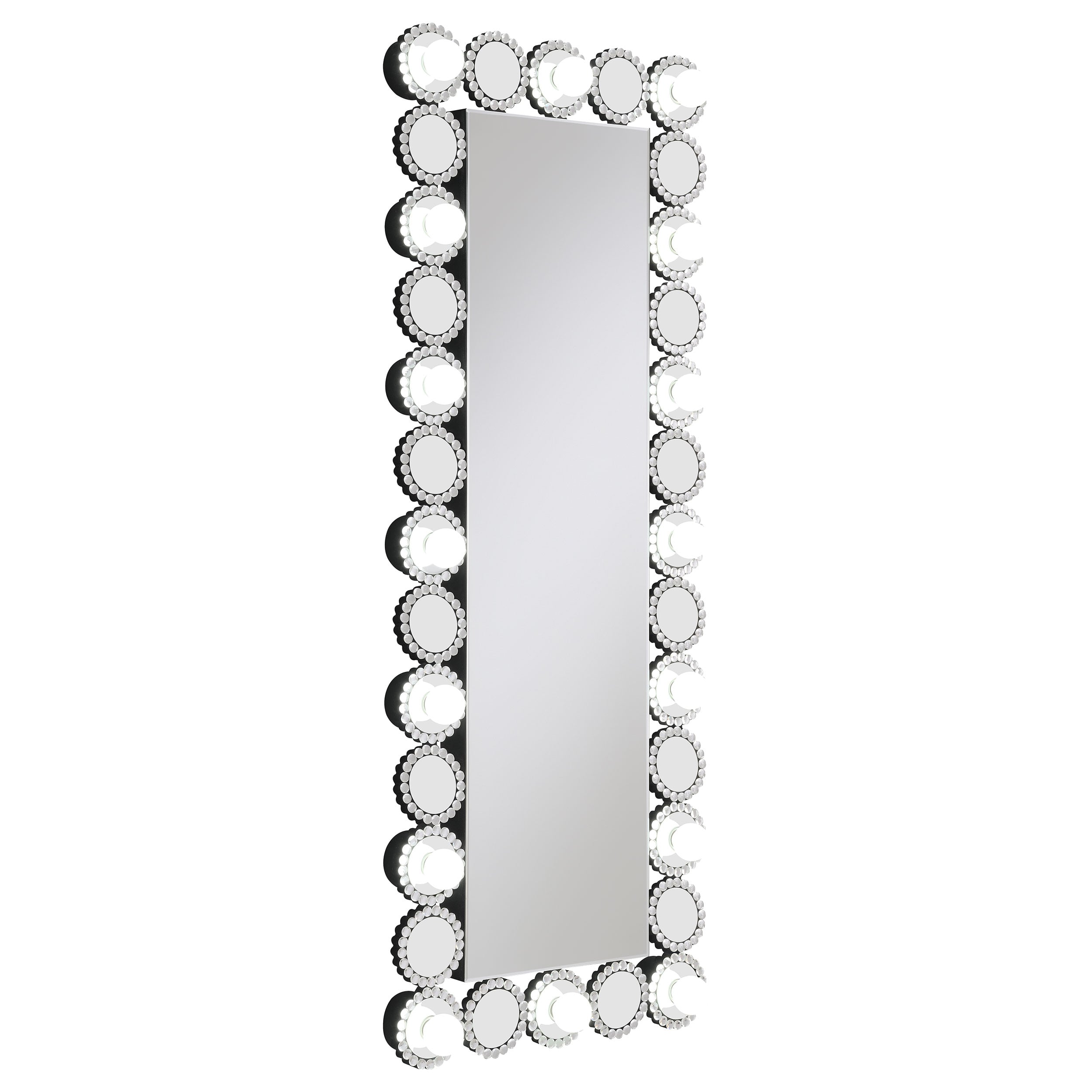 Aghes 24 x 62 Inch Wall Mirror w/ing