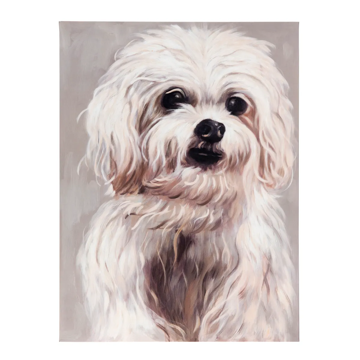 Collection Thumbnail