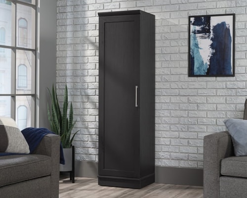 Contemporary Storage Cabinet with Adjustable Shelves