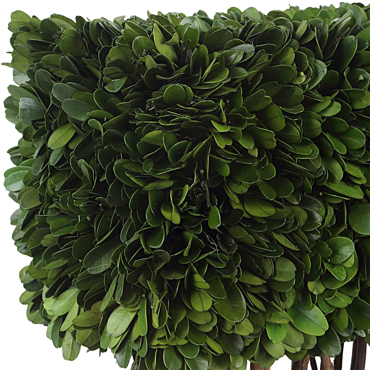 Uttermost Preserved Boxwood Preserved Boxwood Rectangular Topiary