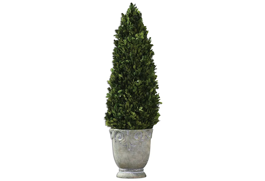Botanicals Boxwood Cone Topiary by Uttermost at Z & R Furniture
