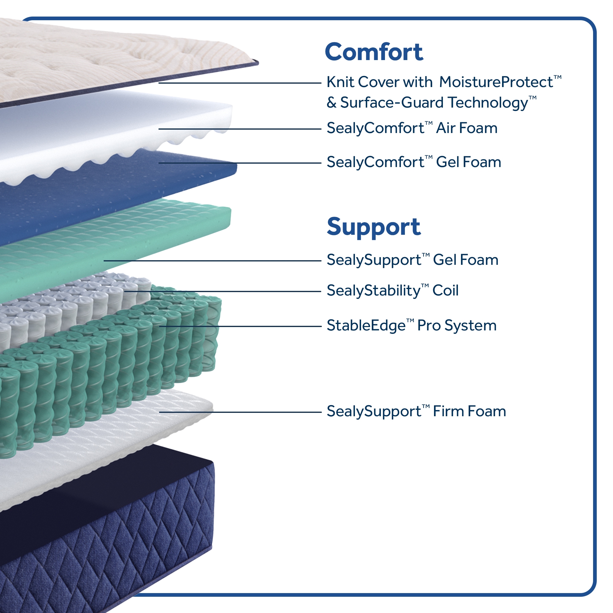 Sealy Zen Garden Firm Tight Top Cal King