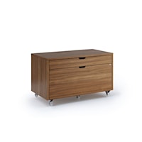 Contemporary 2-Drawer Mobile File Cabinet with Locking File Drawer