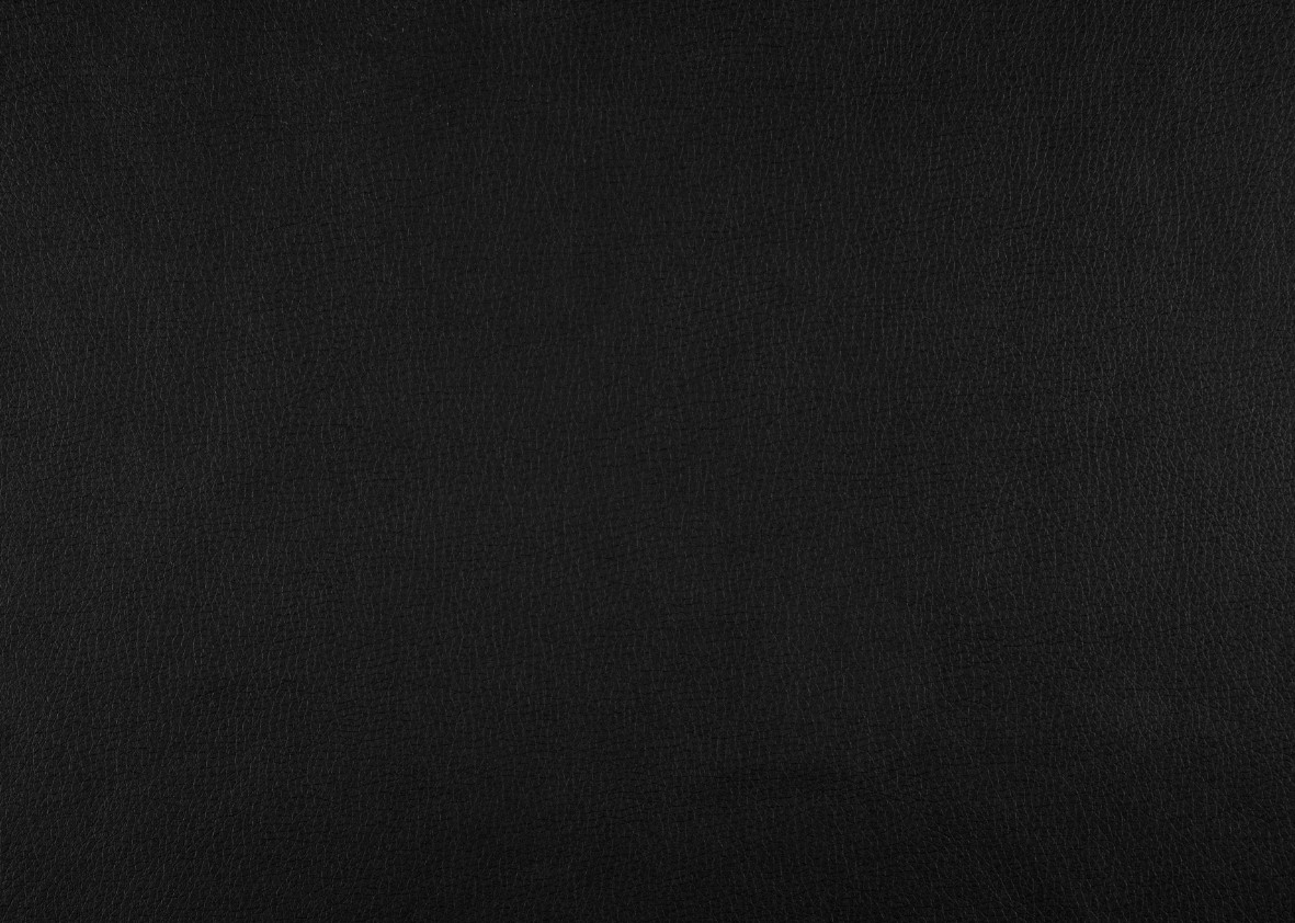 Homelegance Littleton Reclining Loveseat