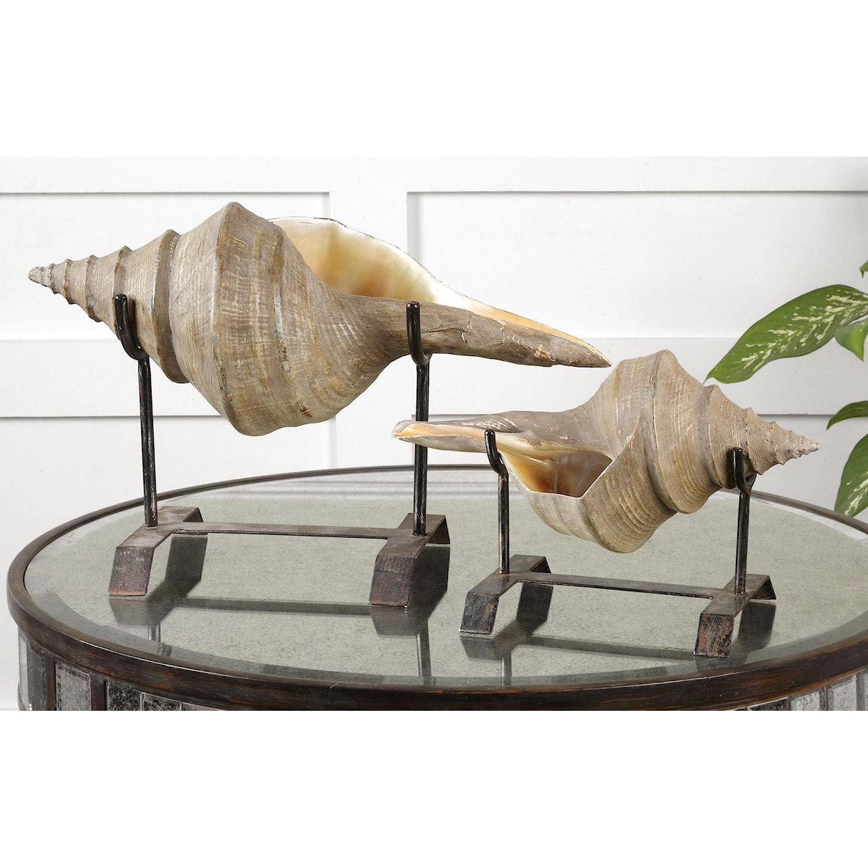 Uttermost Accessories - Statues and Figurines Conch Shell Sculpture Set of 2