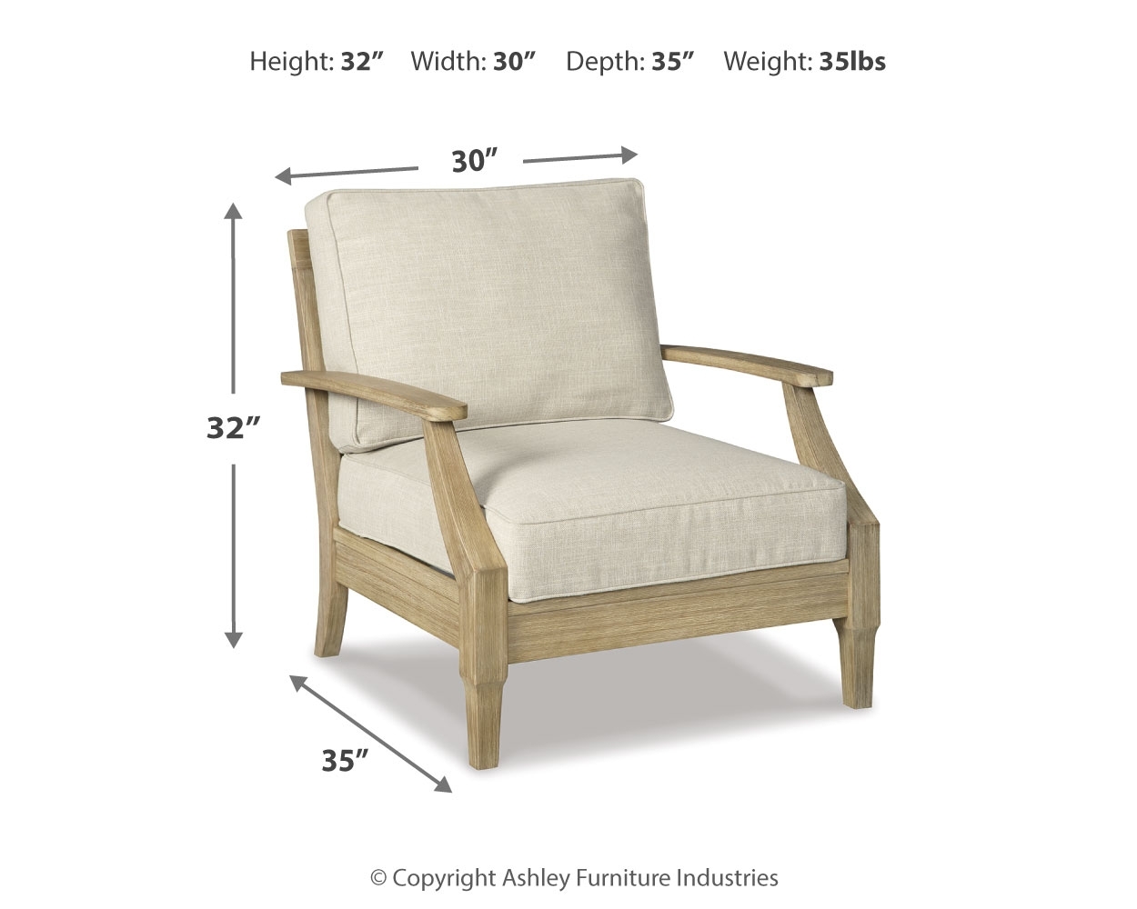 Lounge Chair W/Cushion (1/Cn)