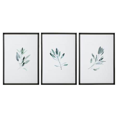 Simple Sage Watercolor Prints S/3