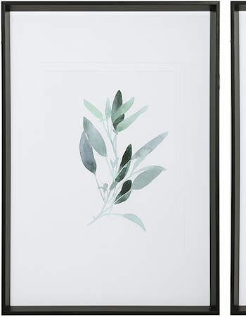 Simple Sage Watercolor Prints S/3