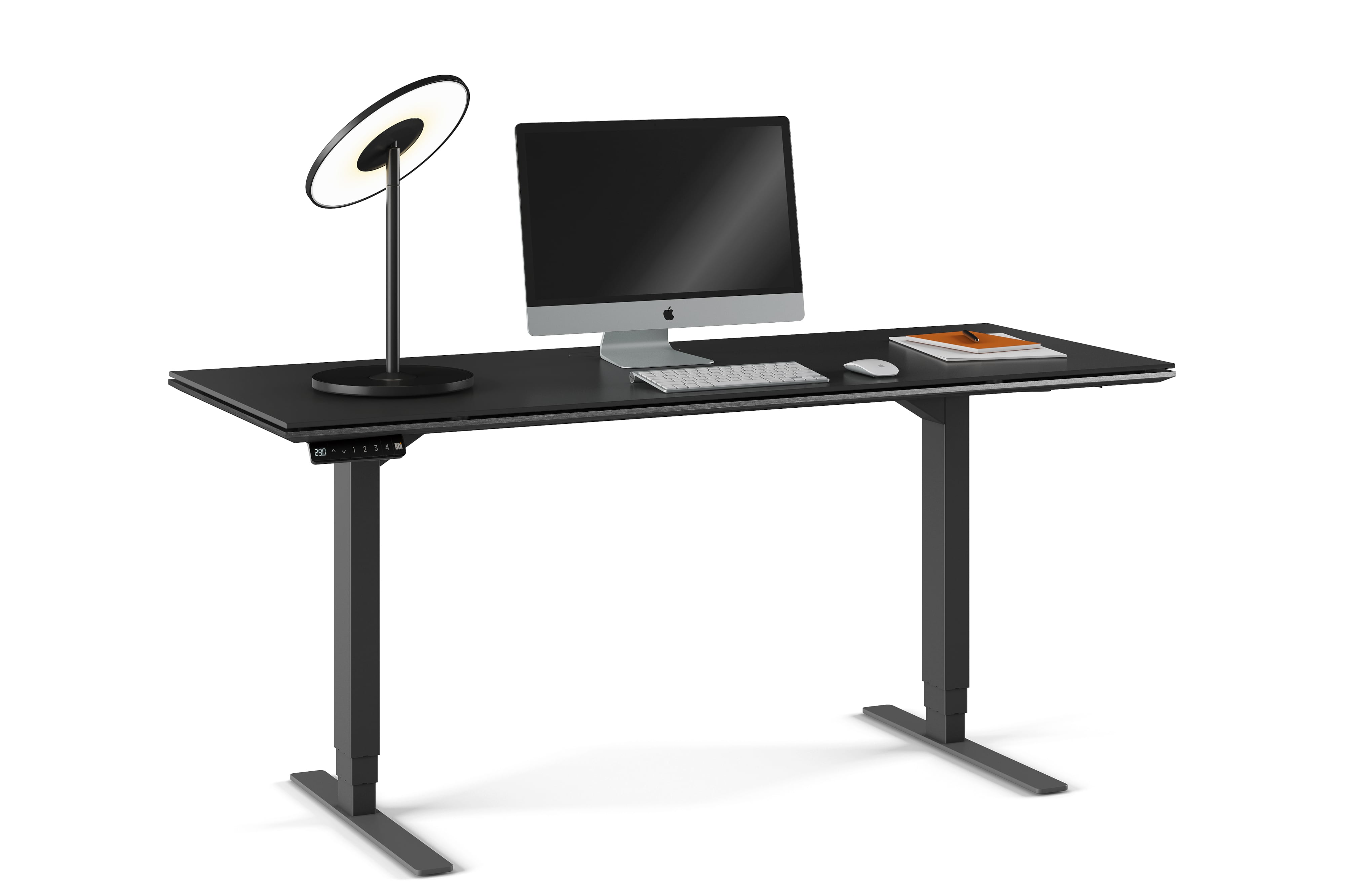 BDI Sequel 20 Standing Desk