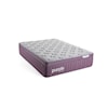 Purple Rejuvenate Plus Queen Rejuvenate Plus Mattress