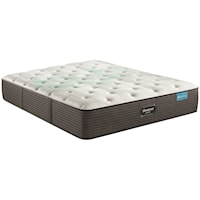 Queen 13 1/2" Plush Mattress