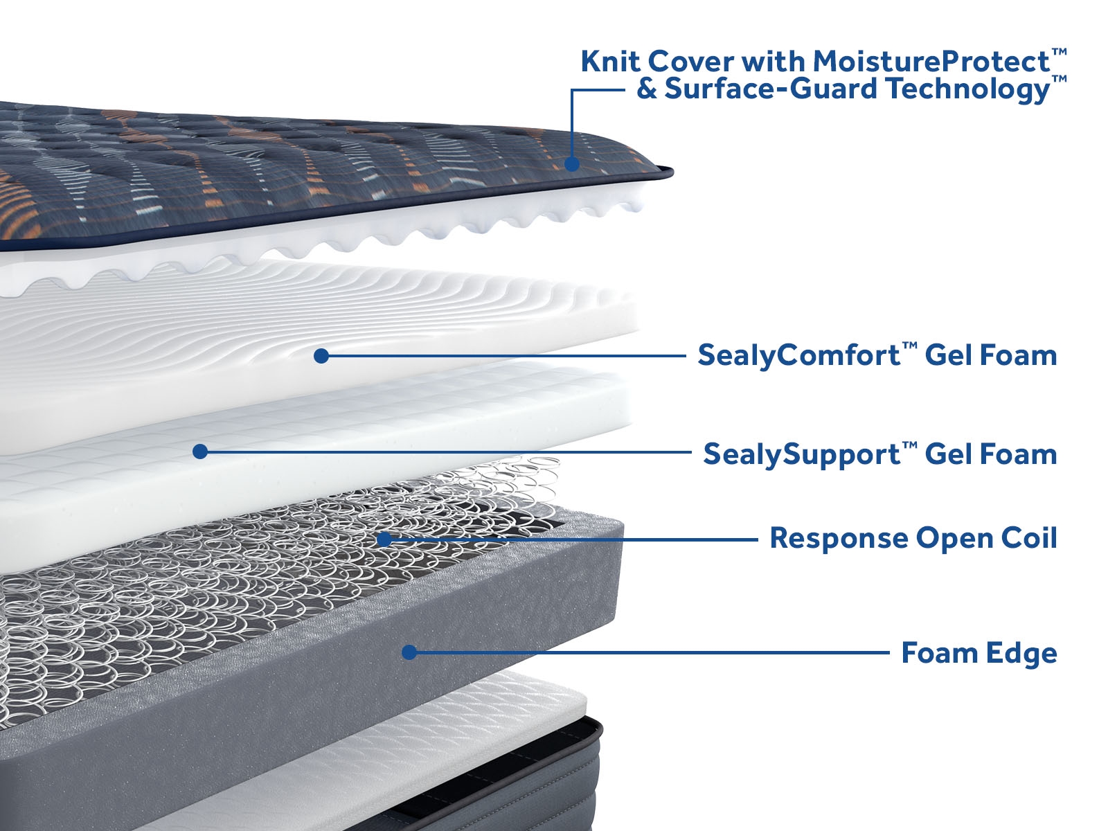 Sealy Special Edition Warner Tight Top Medium Warner Tight Top Medium Cal King