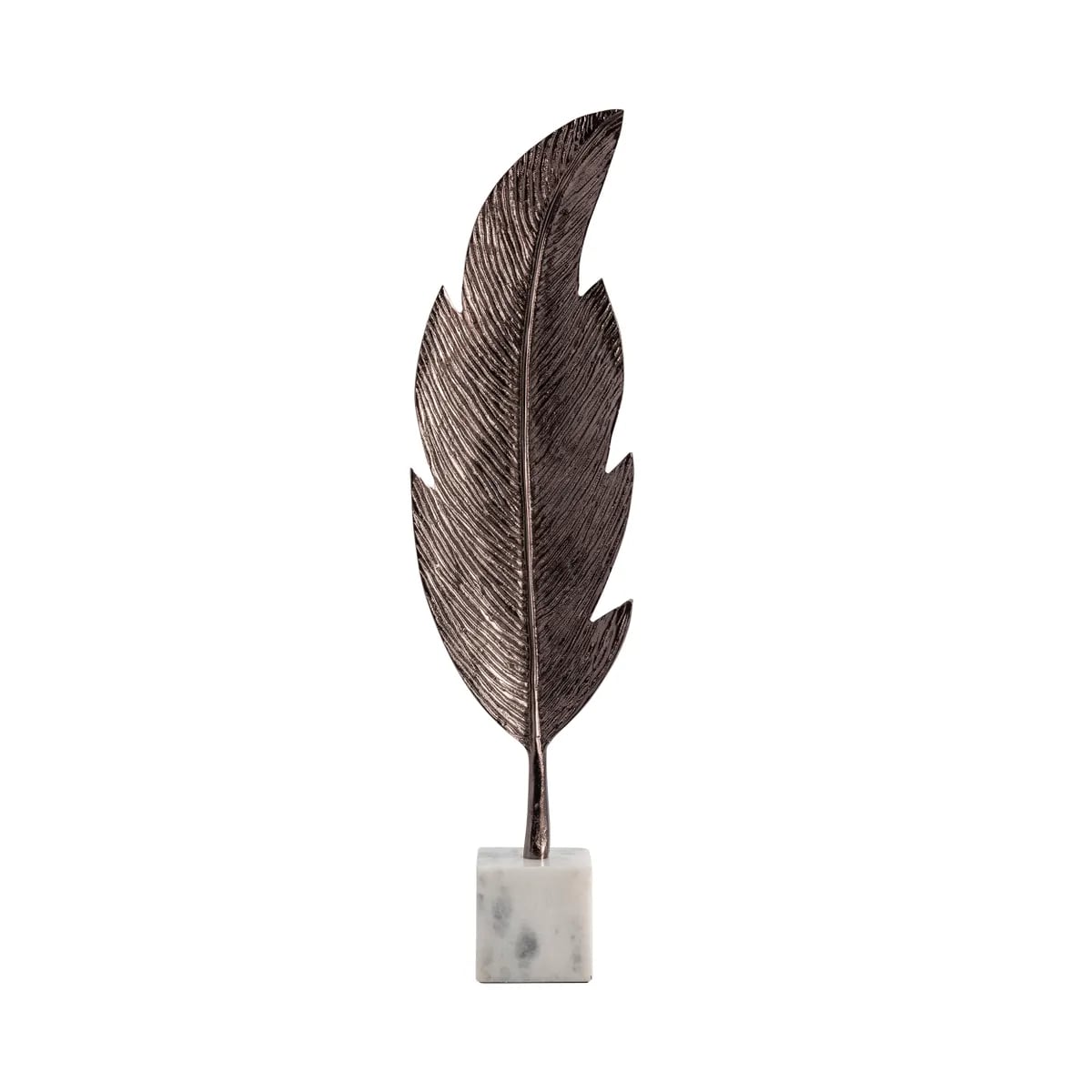 Collection Thumbnail