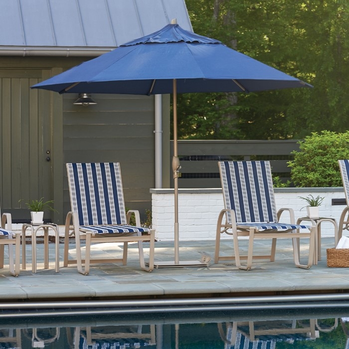 Collection Thumbnail