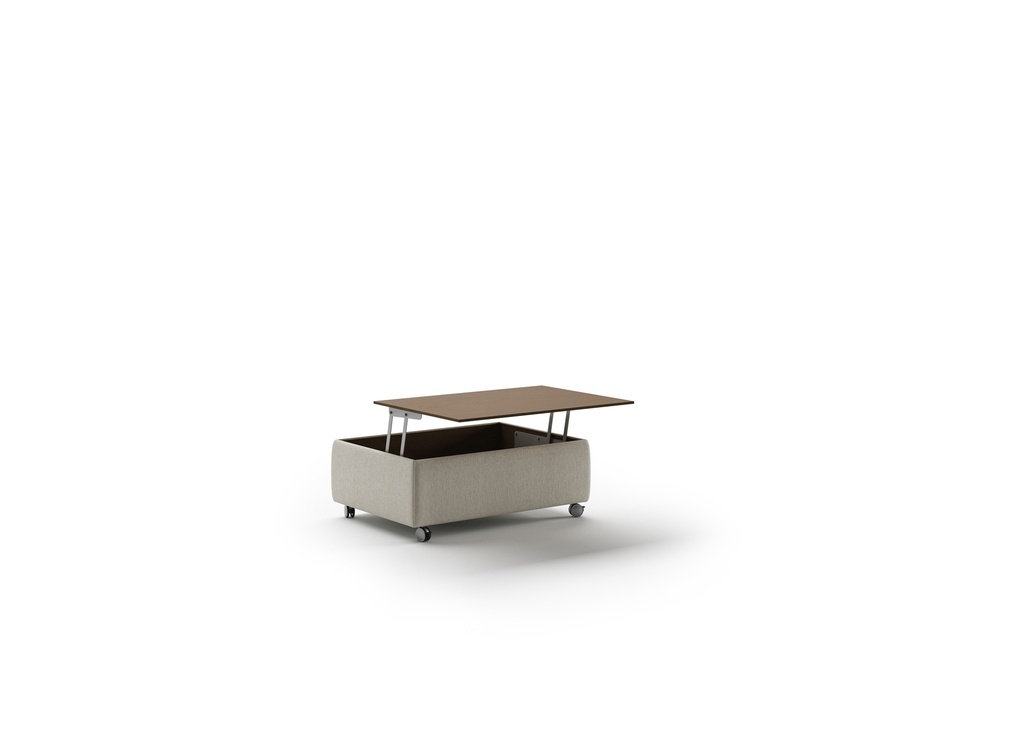 Luonto Functional Lift-Top Coffee Table w/Locking Casters