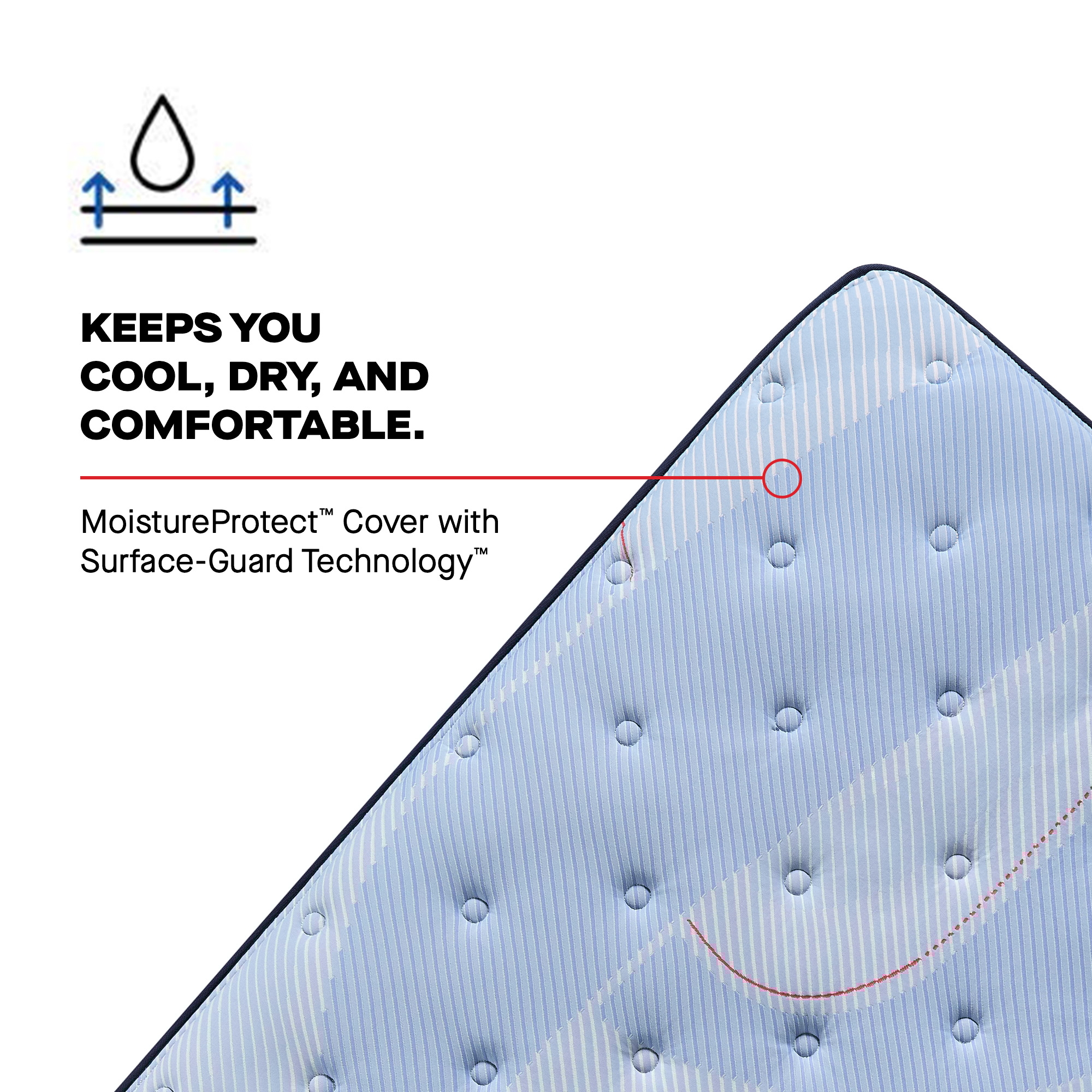 Sealy Posturepedic® Plus Hartsgrove EPT Firm Hartsgrove Euro Pillow Top Firm King