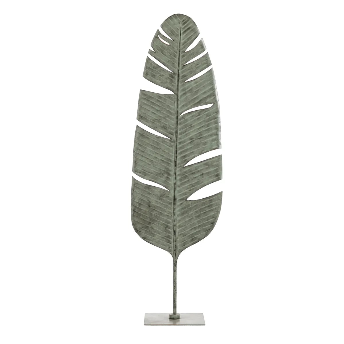 Collection Thumbnail