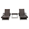 Ashley Furniture Signature Design Kantana 3-Piece Chaise and End Table Set