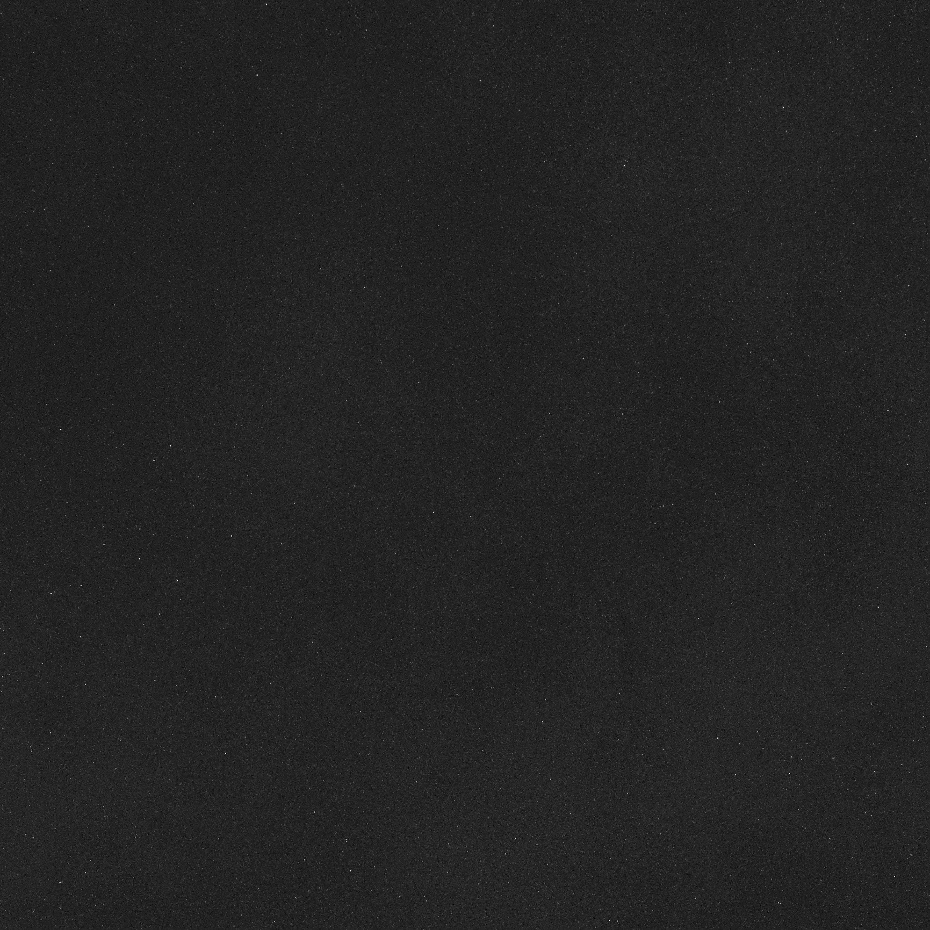 Coaster Rosalind Rosalind Accent Chair