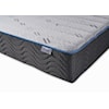 Jamison Bedding Autograph Hudson Bay Firm HUDSON BAY FIRM QUEEN MATTRESS |