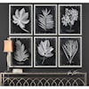 Uttermost Framed Prints Foliage Framed Prints, Set of 6